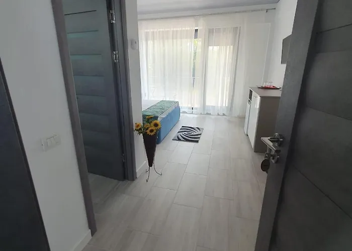 Constantin Eforie Nord